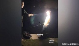 男人的鱼塘爆料视频大全,独家爆料视频大全解析